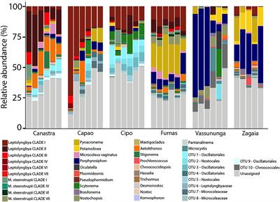 The Compositionally Distinct Cyanobacterial Biocrusts From Brazilian Savanna and Their Environmental Drivers of Community Diversity